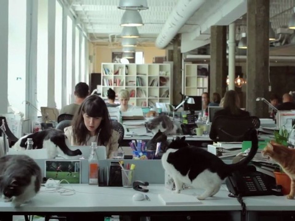 Catvertising