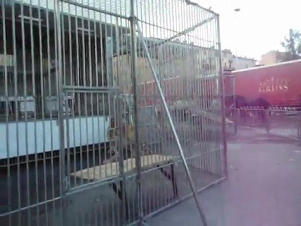 MOV00909