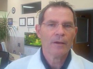 Keeping Up Your Dogs Dental Health