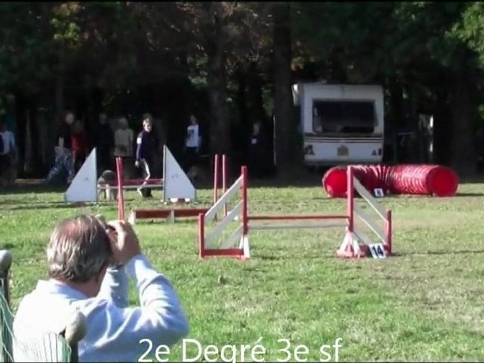 Buck Agility Tarascon 13/11/11
