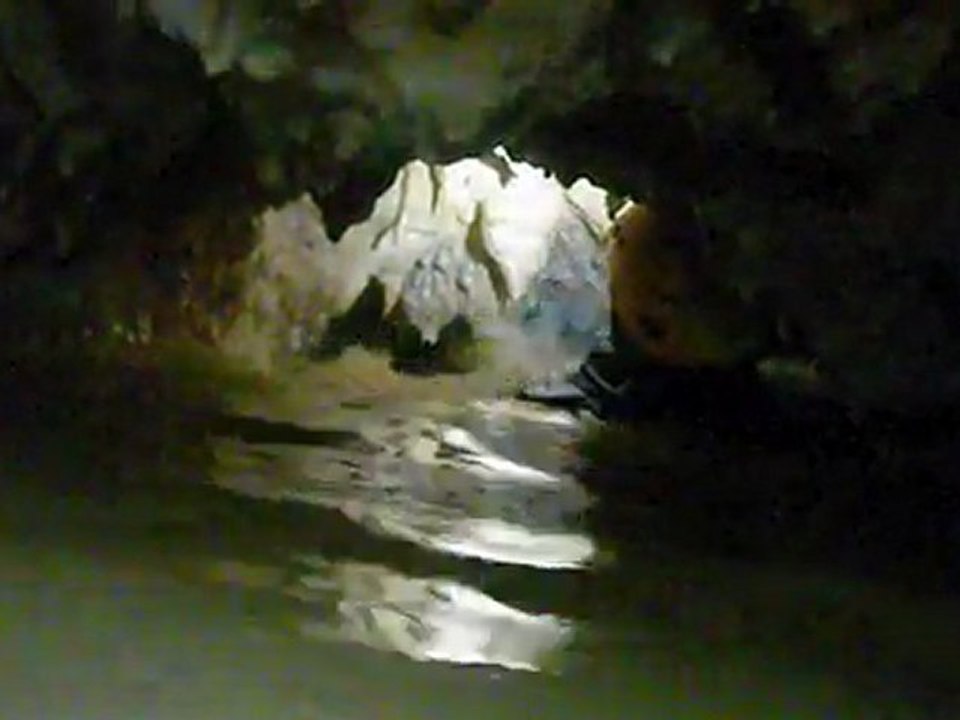 Grotte de pré tavant