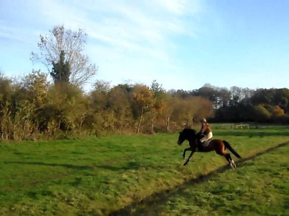 Quazac dans le champs