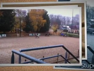 My Stupeflix Video