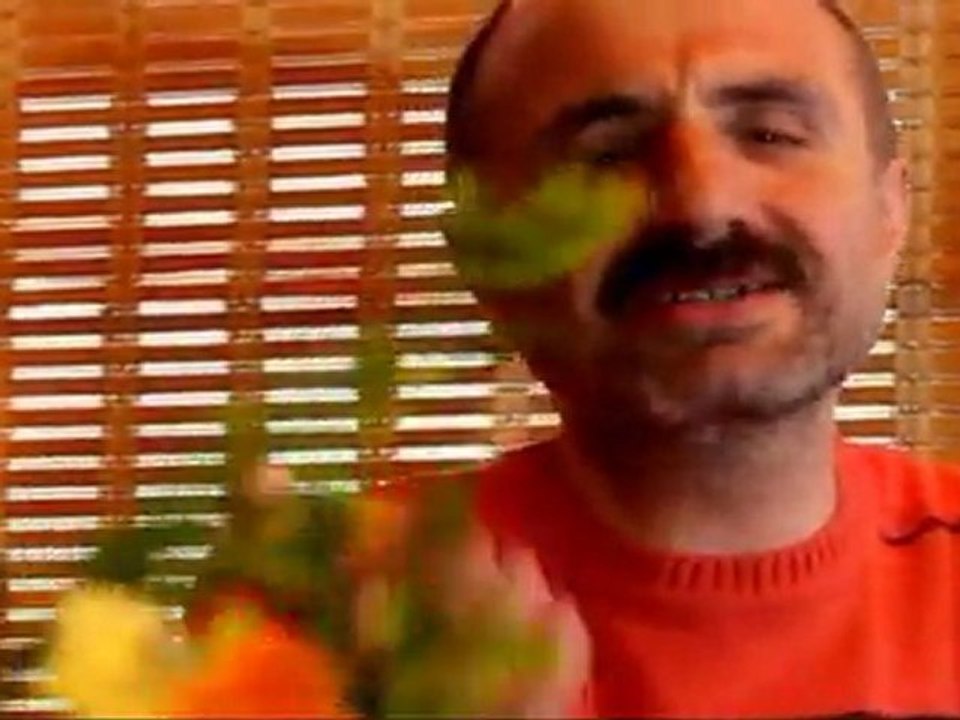 ABDULLAH  KALKAN ANTEPTEN ÖTE