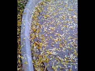 YOKSUN-Mehmet Korkmaz_Burçin Özpınar