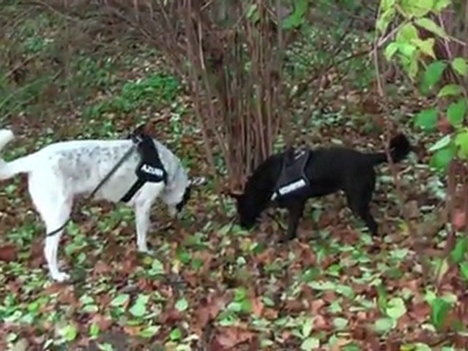 mein Azubi am tag 2....