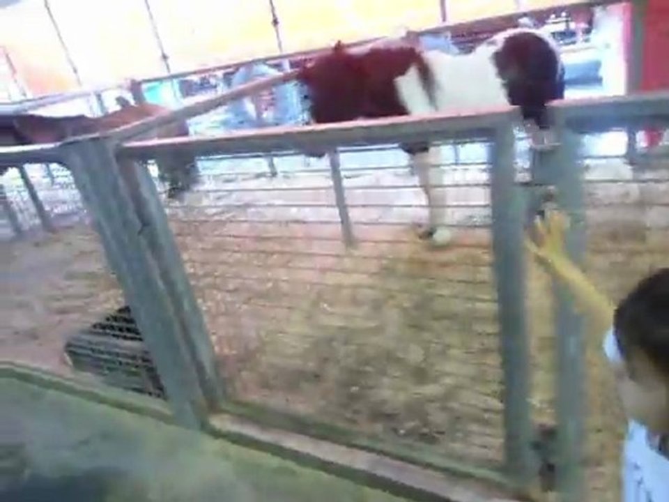 MOV00924
