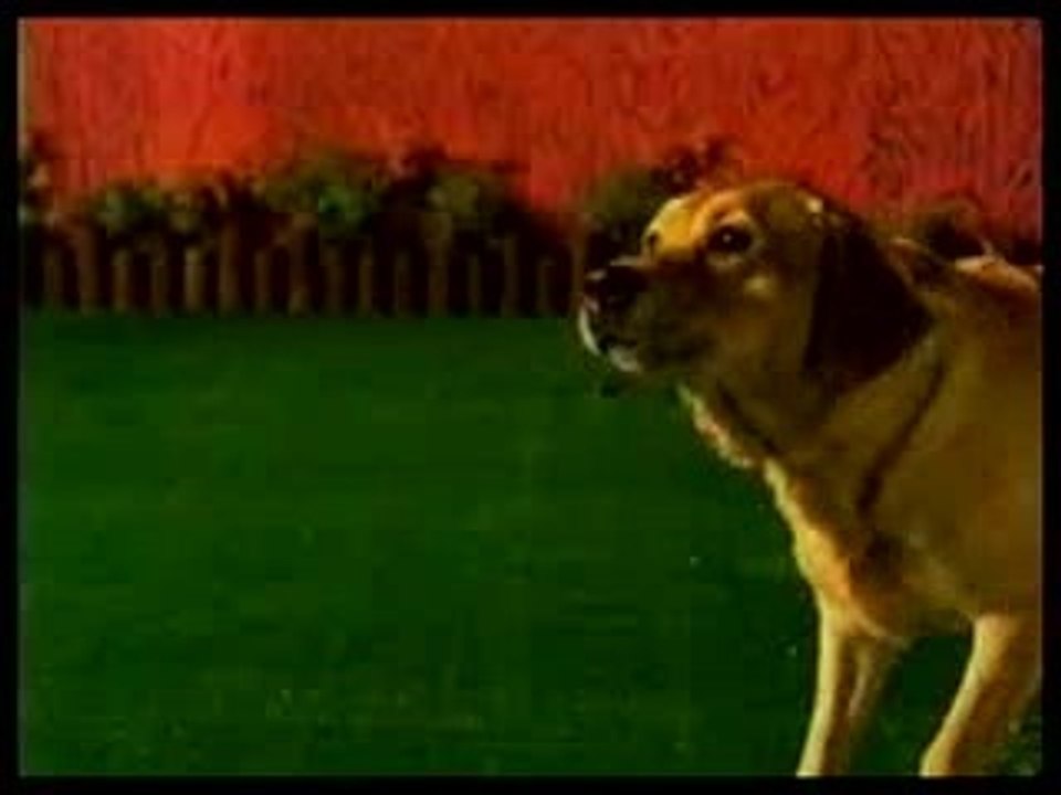 Good Charlotte - Live  MTV