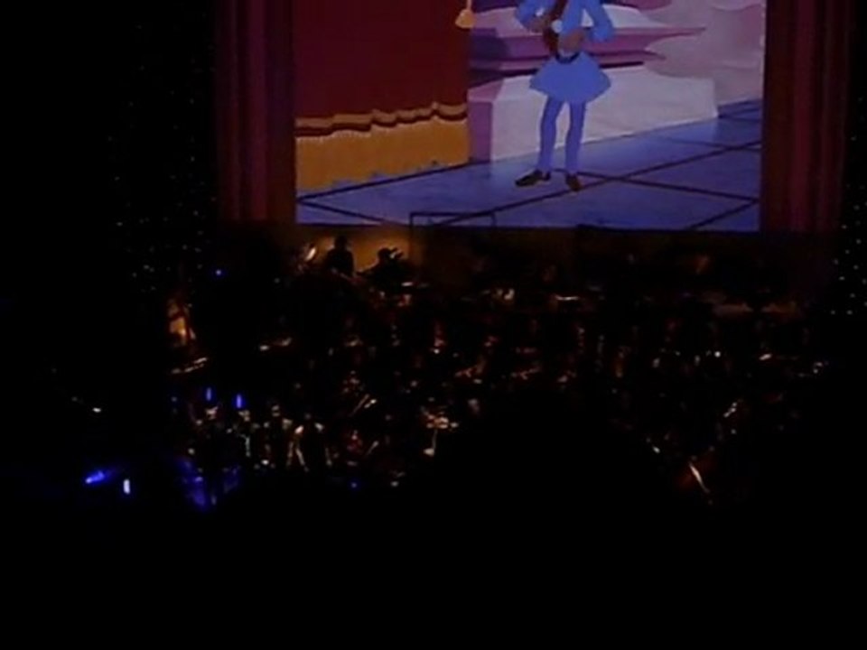 disney symphonie (cendrillon)