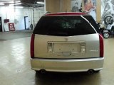 Used 2007 Cadillac SRX Downers Grove IL - by EveryCarListed.com
