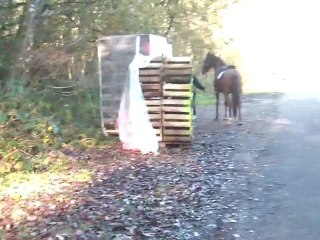 14.11.2011.f.paprika