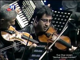 MELİHAT GÜLSES - Ay Beyaz Deniz Mavi