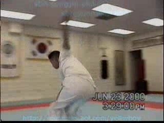 Capoeira y Taekwondo