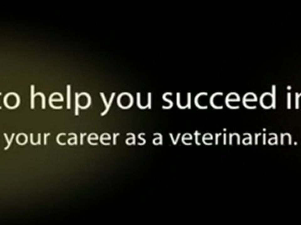 Veterinarian Salary HQ