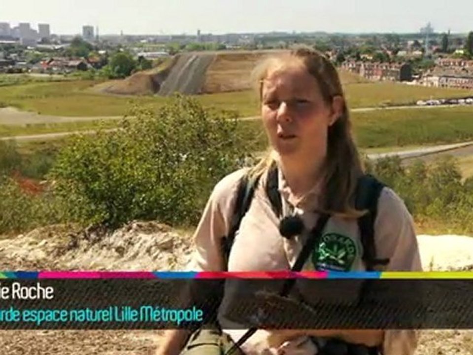 La nature de retour sur le site PCUK