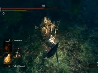 Guide FR HD Dark Souls partie 17-1 [boss de l'hydre serment de la forêt]