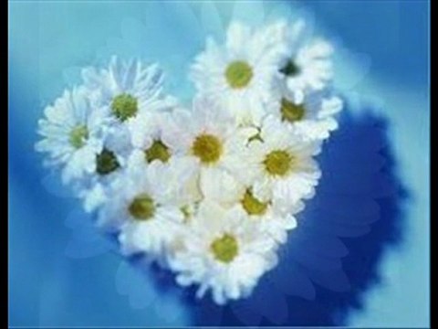 ''Bozcaada-Hotel Fahri''Nuran ÜÇER-Papatyanın Son Yaprağı