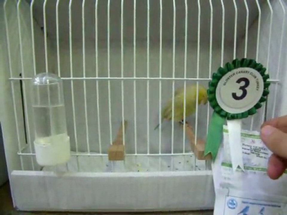 07-KLÜP SHOW 2011 | FESHANE