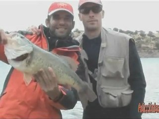 Pieza mayor 2.520 Gramos