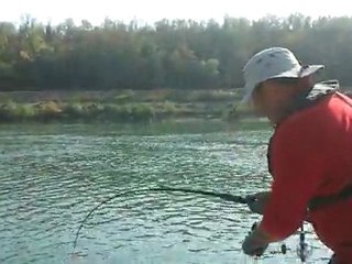 Silure de 2.21m pris pendant le casse croute, belle surprise