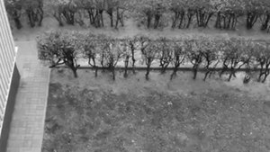 WP_20111115_123645Z