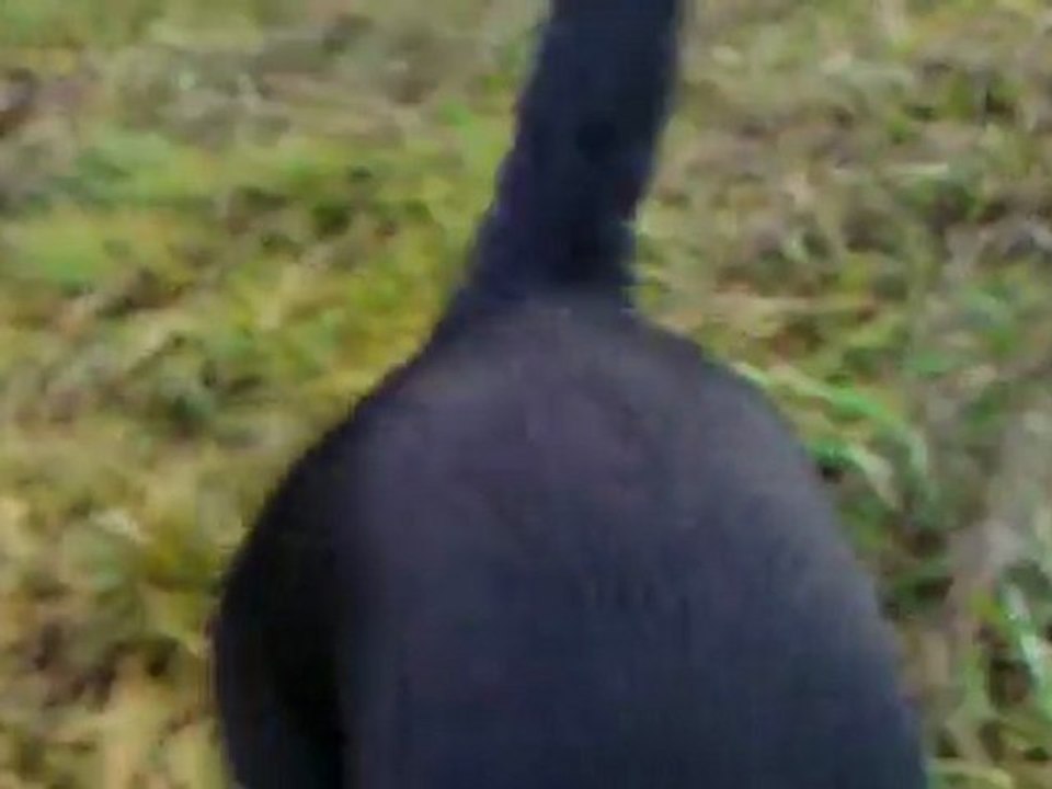 Piękno mojej okolicy