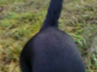 Piękno mojej okolicy