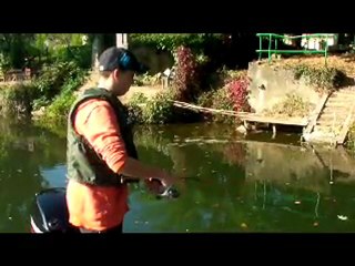session carnassier école de pêche fédérale 24