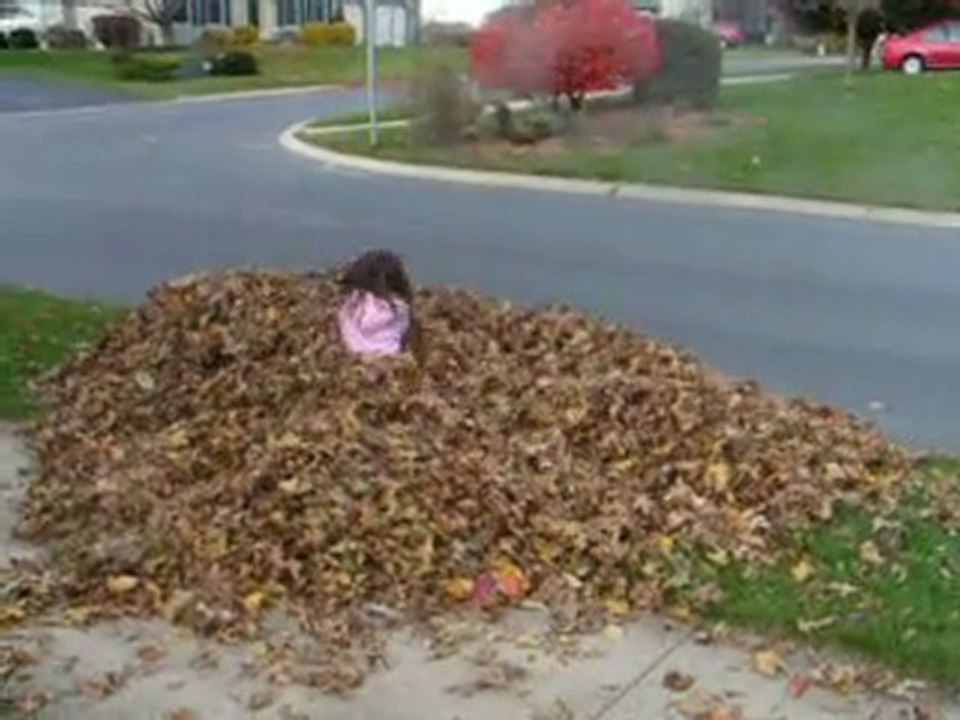 Les enfants et les feuilles bis