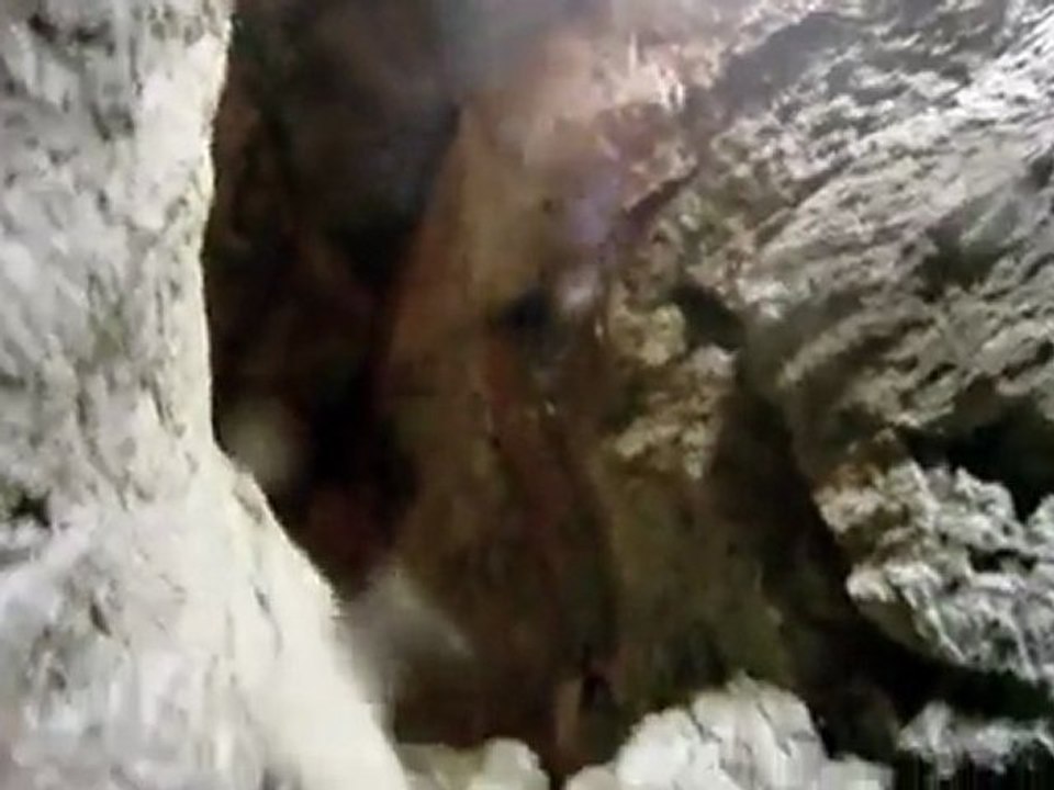 La grotte du Capélan , La grotte des capélans  , grotte capelan