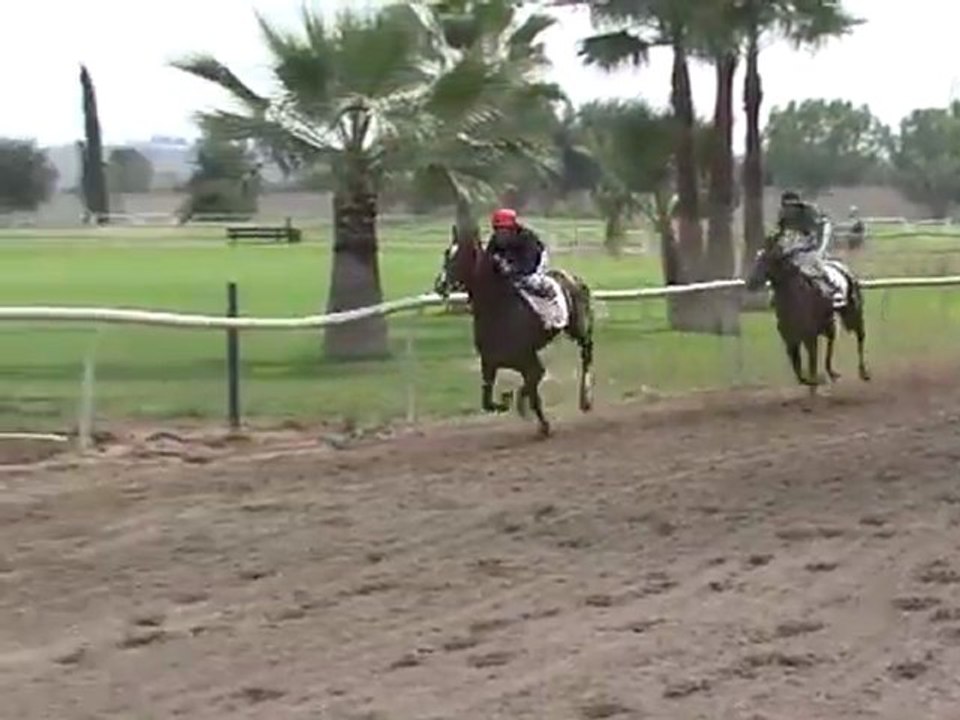 2011.11.01, nº 496 PIN (Caja Rural (3a ng) La Bailarina (Flv)