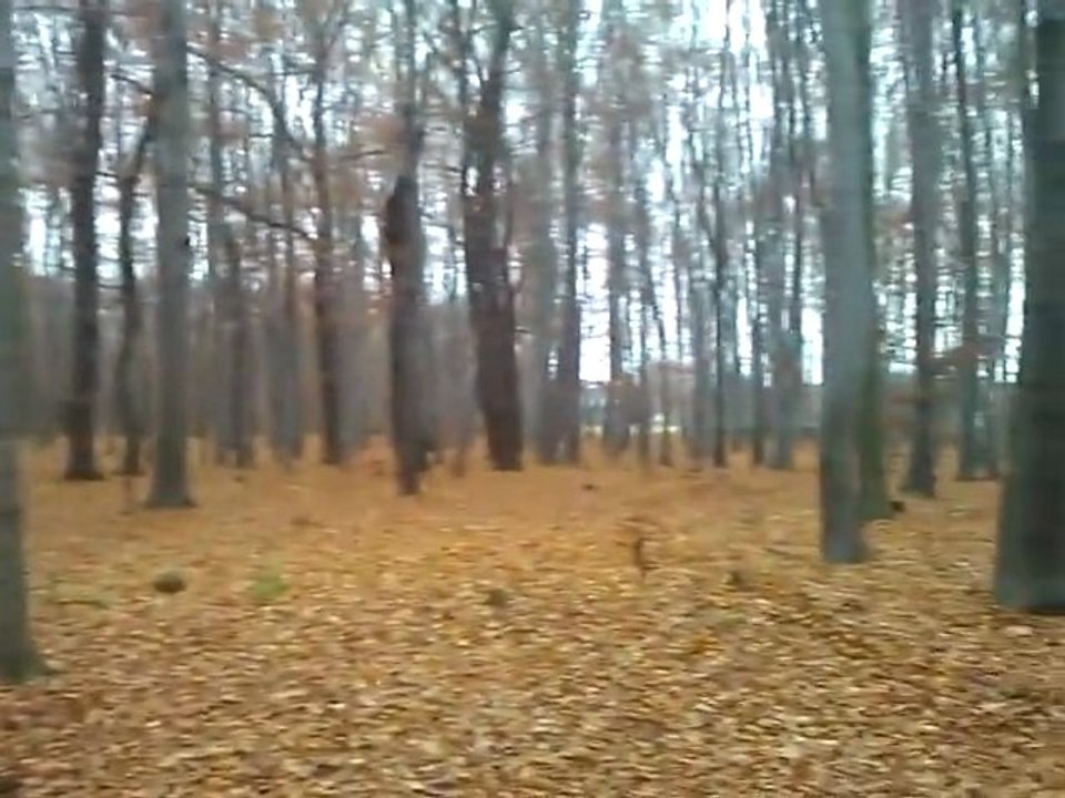 Test HTC Mozart - film mojej okolicy