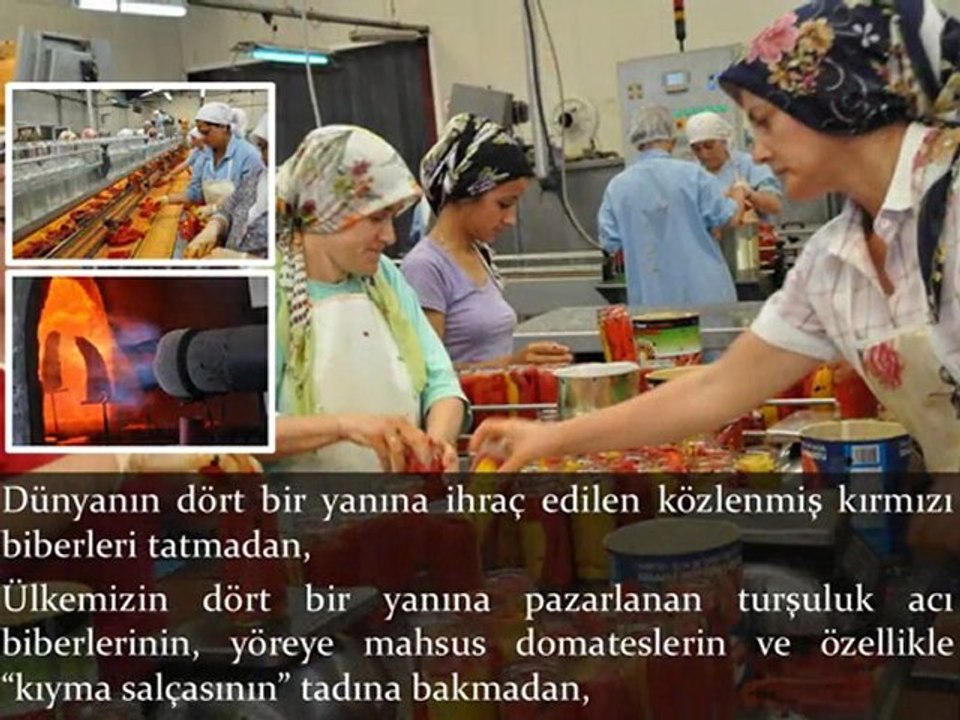 Bigaya Gelirseniz....................