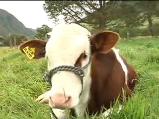 1 _ MONTBELLIARDE NOVIEMBRE 15 DE 2011