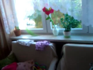 Rodzinna ekipa testowa HTC MOZART