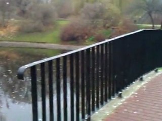 Moja piękna okolica - Park moczydło - Piotr Myszkiewicz