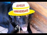 Joyeux anniversaire Jacques