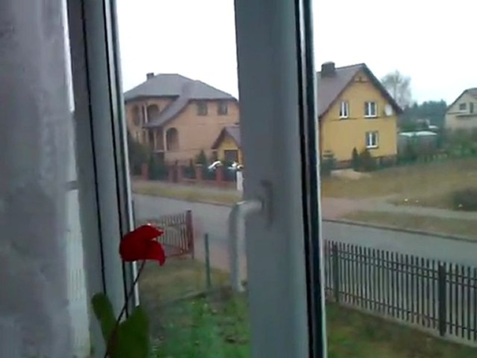 Moja okolica
