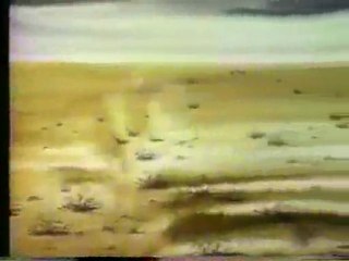 (DVD14) (07) CUIDA EL PAISAJE CAMPAÑA