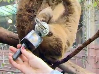 ITTS9  WK7 Harry & Aliona