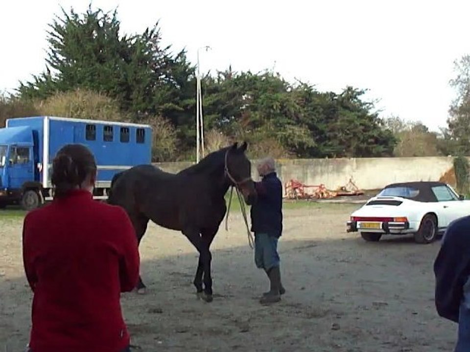 LUSO NOV 2011