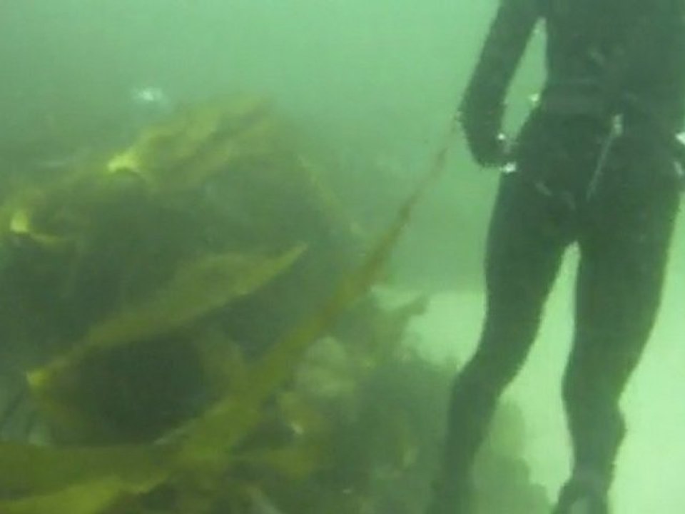 Vidéo-001 Chasse sous marine doudou