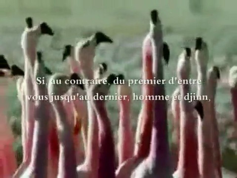HADITH QOUDSSI