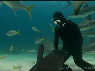 Nina Salerosa - Danse avec les requins