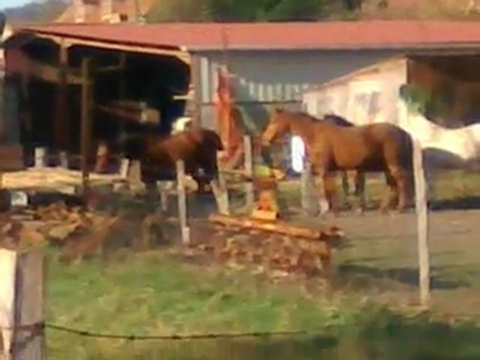 Desert et les copines