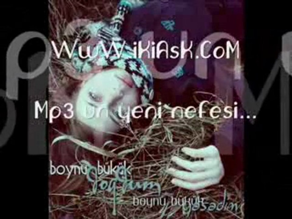 _DiVaNe ELLeR_Seslibelinay