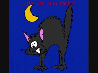RED CHAOS & RED SHIVA - THE CAT CAME BACK !!