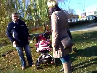 WP Kielce - miejski staw w parku