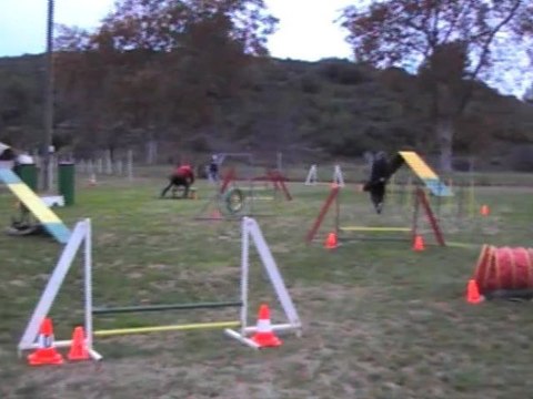 MONTREDON COOKY open