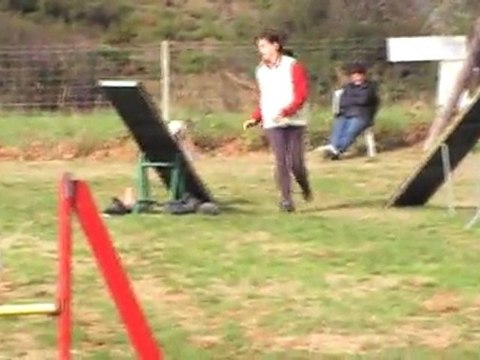 MONTREDON CERISE DEGRE